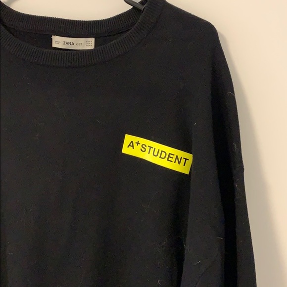 Zara Crewneck Sweater - Picture 2 of 3